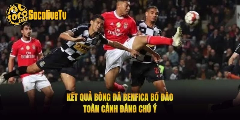 Kết Quả Bóng Đá Benfica Bồ Đào – Toàn Cảnh Đáng Chú Ý