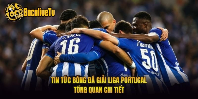 Tin Tức Bóng Đá Giải Liga Portugal – Tổng Quan Chi Tiết
