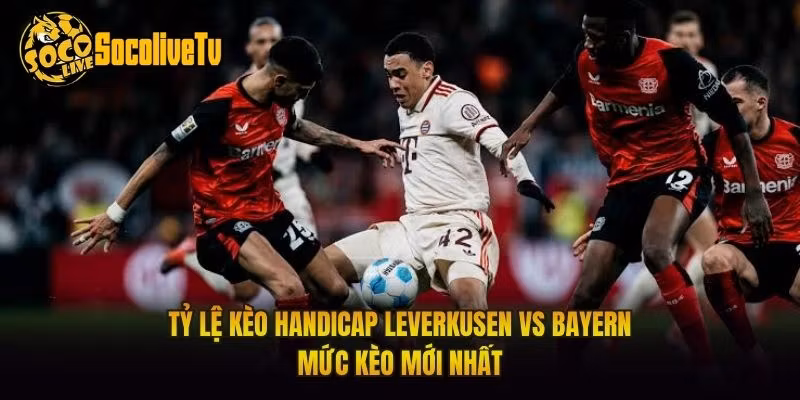 Tỷ Lệ Kèo Handicap Leverkusen Vs Bayern Mức Kèo Mới Nhất